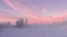 the sky is pink and purple as the sun sets in the snow covered forest area