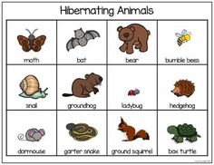 a printable game with different animals and their names