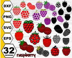 raspberry and blackberry fruit clipart set with hexagons, stop sign,