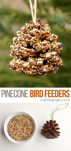 pinecone bird feeders are an easy way to keep birds entertained