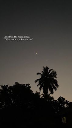 the moon is shining in the sky above some palm trees and a building with a quote on it