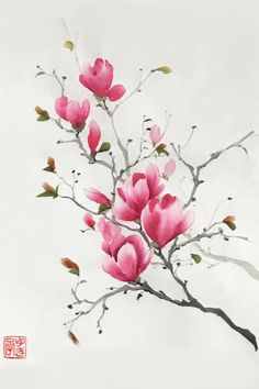 a painting of pink flowers on a branch with chinese writing in the bottom right corner