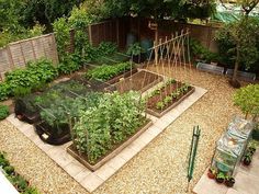 an aerial view of a vegetable garden