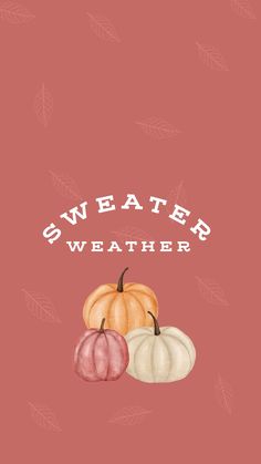 three pumpkins with the words, water and weather written in white on a pink background