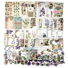 a collage of various flowers and plants