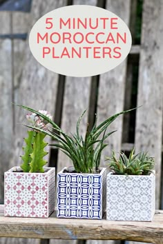 three planters with succulents in them sitting on a table