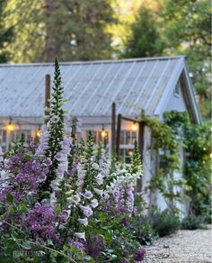 purple and white flowers are in front of a building with a tin roof on it