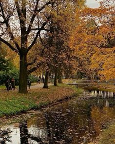 people are walking along the water in an autumn park