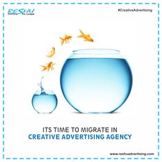 an advertisement with goldfish and fish in the water, it's time to migrate in creative advertising agency