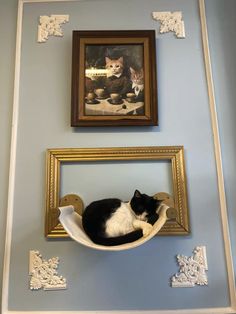 a black and white cat laying on top of a shelf next to a framed painting