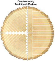 the diagram shows that there are two different types of wood in each section of the tree