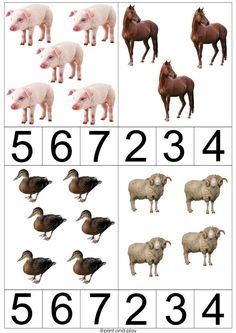 an image of farm animals and their numbers