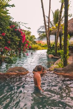 a man swimming in a pool surrounded by palm trees and flowers on the side of it