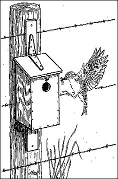 a bird house with a hummingbird in it's beak and its wings spread out