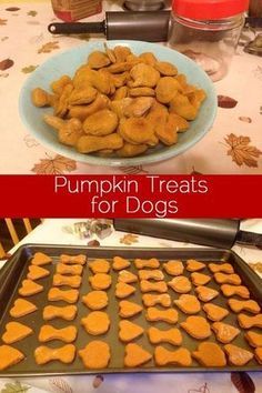 pumpkin treats for dogs in the shape of heart shaped cookies on a baking sheet and plate