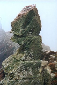 a large rock with moss growing on it