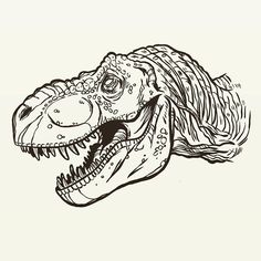 a black and white drawing of a dinosaur's head