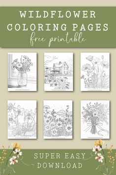 the wildflower coloring pages are available for free printables, including flowers and plants