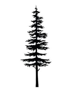 a black and white silhouette of a pine tree