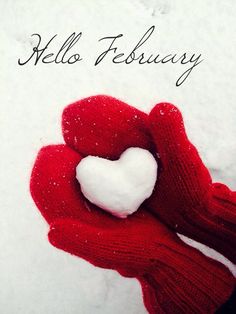 a red mitt with a white heart in the middle of it that says hello february