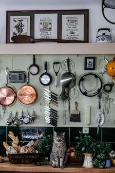 a cat sitting on top of a wooden table in front of pots and pans