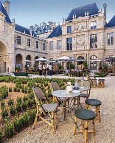 tables and chairs in front of a large building with many plants on the ground outside