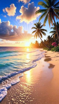 the sun shines brightly over an ocean beach with palm trees