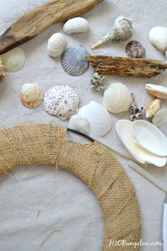 various seashells and driftwood are arranged on the sand near a beach wreath