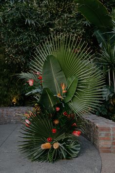 a plant with red flowers and green leaves on it's side in front of a brick wall