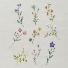 several different types of wildflowers on a white cloth with green stems and purple flowers