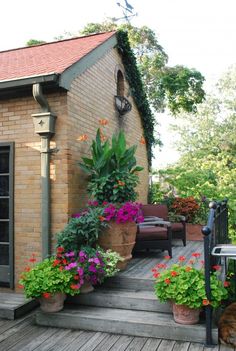 an outdoor patio with potted plants and flowers on the steps leading up to it