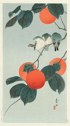 two birds are perched on the branch of an orange tree