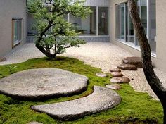 a rock garden with moss growing on the ground