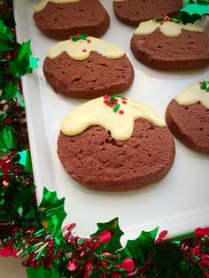 chocolate cookies with white icing and holly decorations