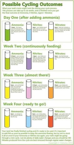 the different types of liquids used in science