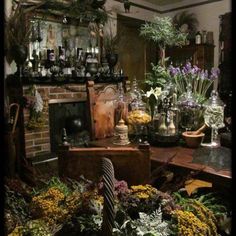 a living room filled with lots of plants and vases next to a fire place