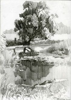 a pencil drawing of a tree and water