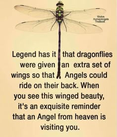 a dragonfly sitting on top of a white wall next to a quote from an angel