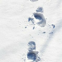 two footprints are shown in the snow