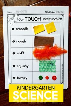 Kindergarten Science Curriculum, Kindergarten Science Lessons, Five Senses Preschool, Pre-k Science, Senses Activities, Preschool Science Activities, Kindergarten Lesson Plans, Kindergarten Lessons