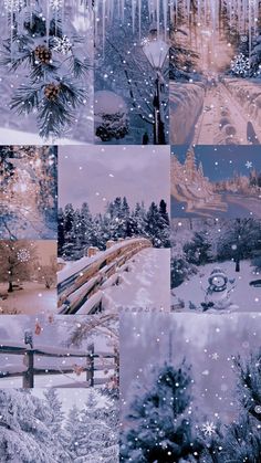 a collage of photos with snow and trees