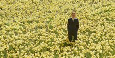 a man standing in a field of yellow flowers