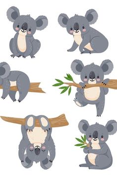 koalas are sitting on the tree branches and eating leaves, one is sleeping