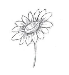 a drawing of a sunflower on a white background