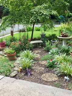 a garden filled with lots of different types of flowers and plants next to a tree