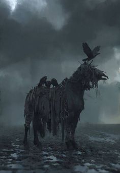 a horse standing in the middle of a field under a cloudy sky with two crows on it's back