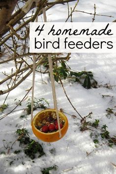 a hanging orange bowl filled with berries in the snow