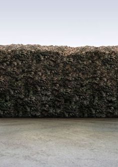 a wall made out of rocks and grass in front of a concrete floor with an orange fire hydrant next to it