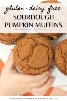 gluten and dairy free sourdough pumpkin muffins with text overlay