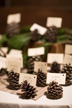 pine cones and place cards on a table